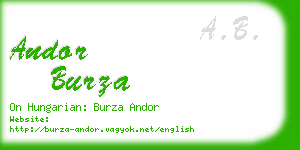 andor burza business card